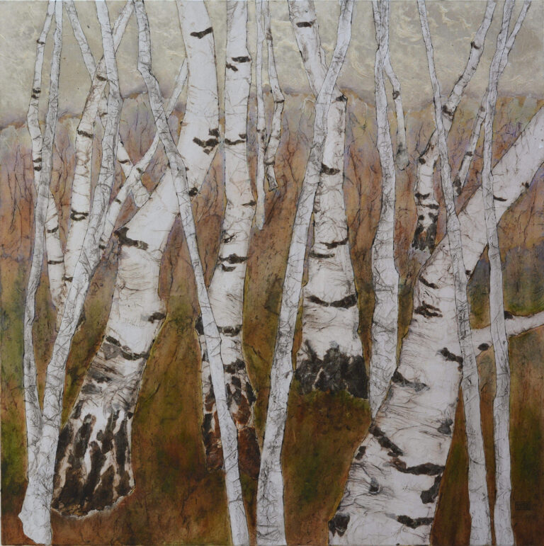 Bouleaux n°78 - 1m x 1m